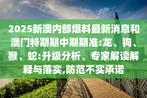 2025新澳內(nèi)部爆料最新消息和澳門特期期中期期準(zhǔn):龍、狗、猴、蛇:升級(jí)分析、專家解讀解釋與落實(shí),防范不實(shí)承諾